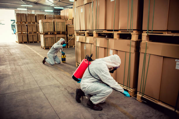 Best Best Pest Control Companies  in Denton, NC