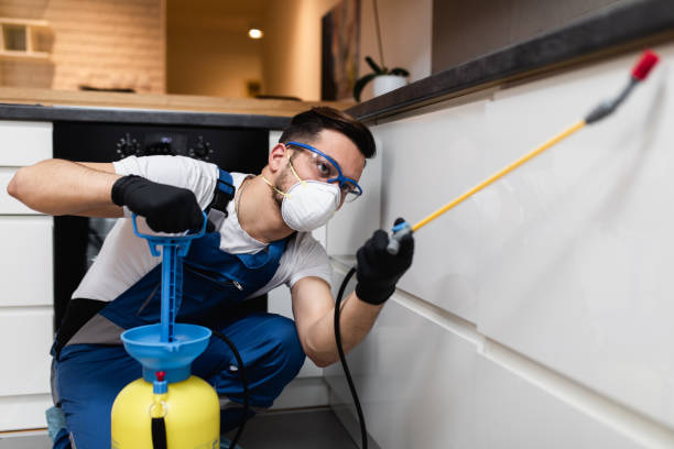 Best Rat Extermination Near Me  in Denton, NC
