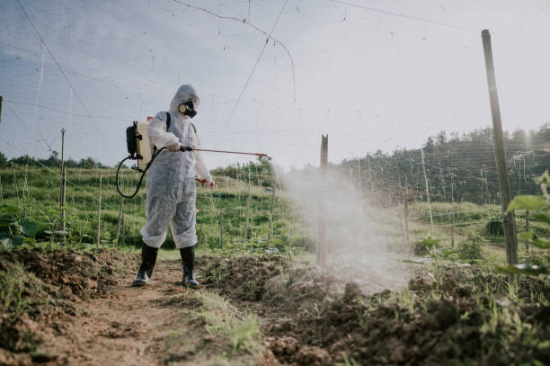 Best Ant Control Services  in Denton, NC