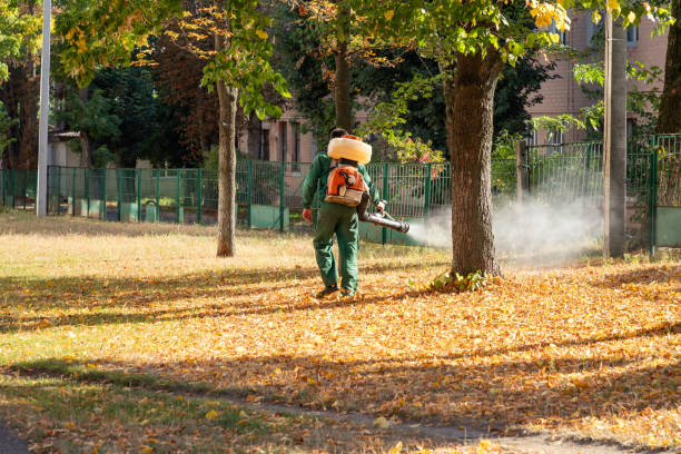 Best Residential Pest Control  in Denton, NC