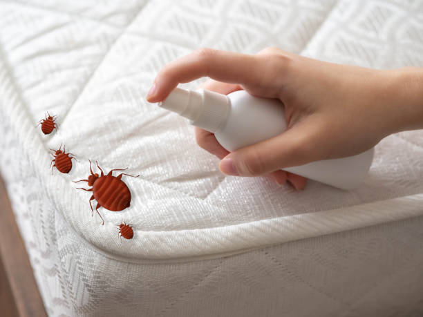  Denton, NC Pest Control Pros
