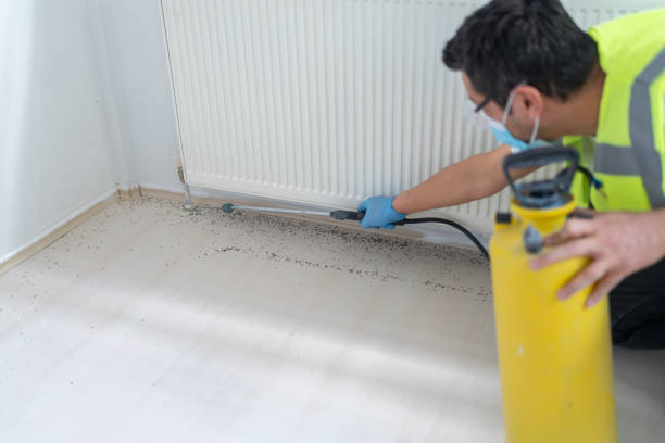 Best Pest Removal Services  in Denton, NC